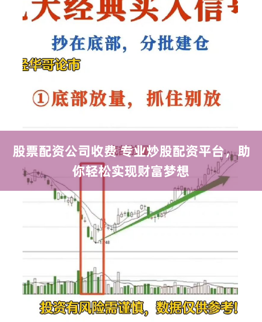 股票配资公司收费 专业炒股配资平台，助你轻松实现财富梦想