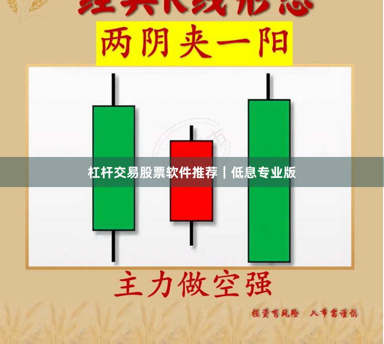 杠杆交易股票软件推荐｜低息专业版