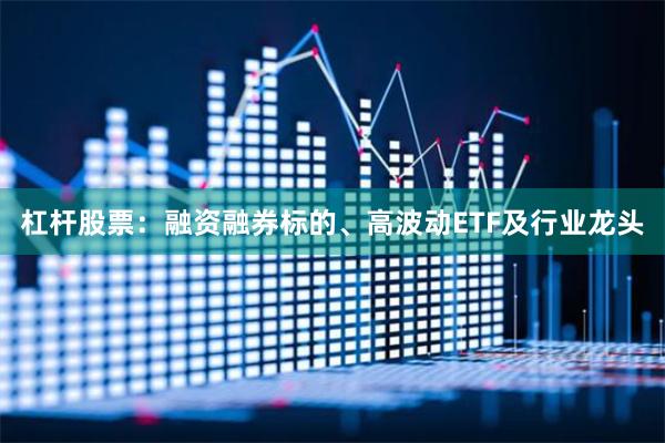 杠杆股票：融资融券标的、高波动ETF及行业龙头